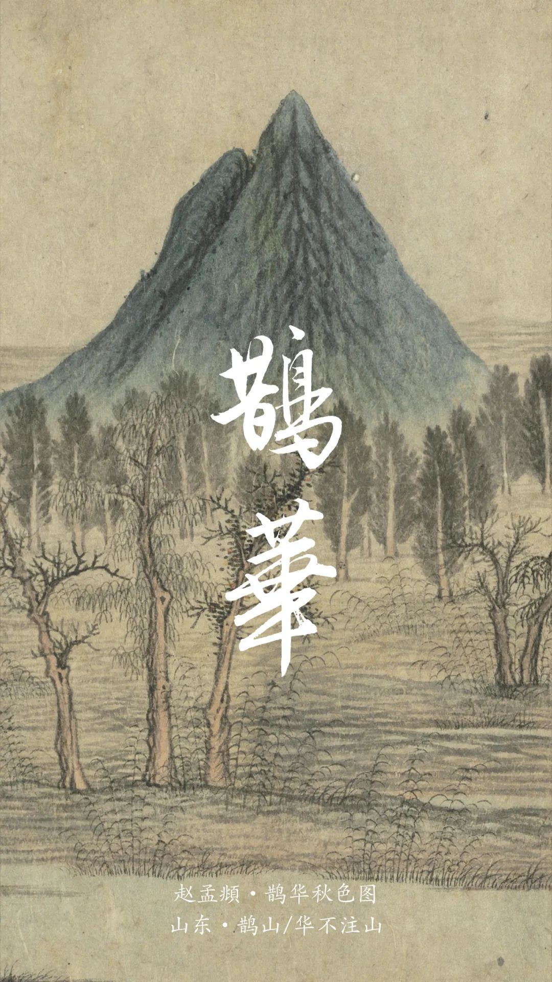 好看的电视剧,好看的图片