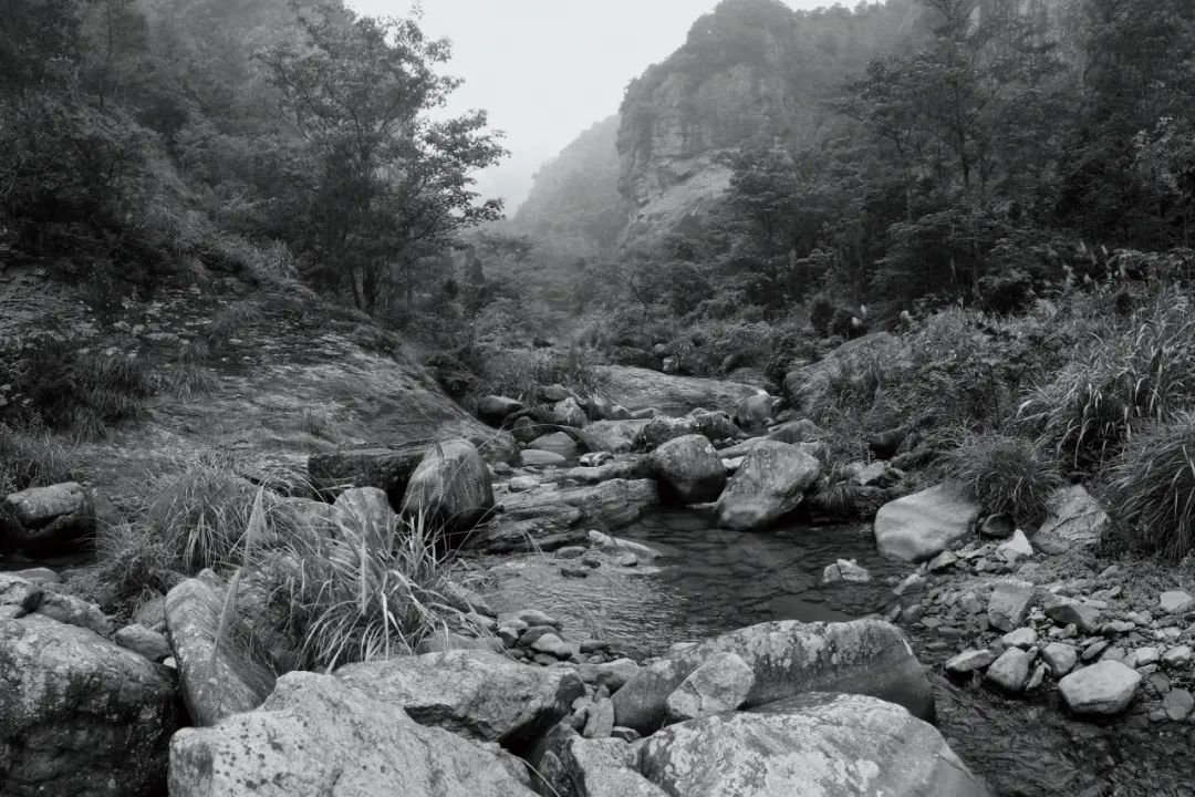好看的电视剧,好看的图片