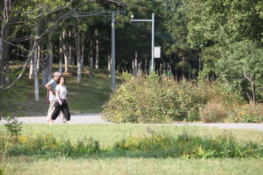 推荐一个假期亲子出游的好地方,北京亦庄周末去哪儿玩