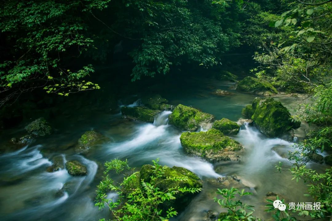贵州行之小七孔,贵州的梵净山荔波小七孔