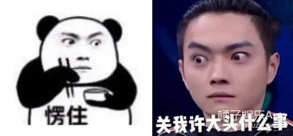 那些你以为是素人的明星表情包！郑云龙许凯马嘉祺中枪，快乐喷泉