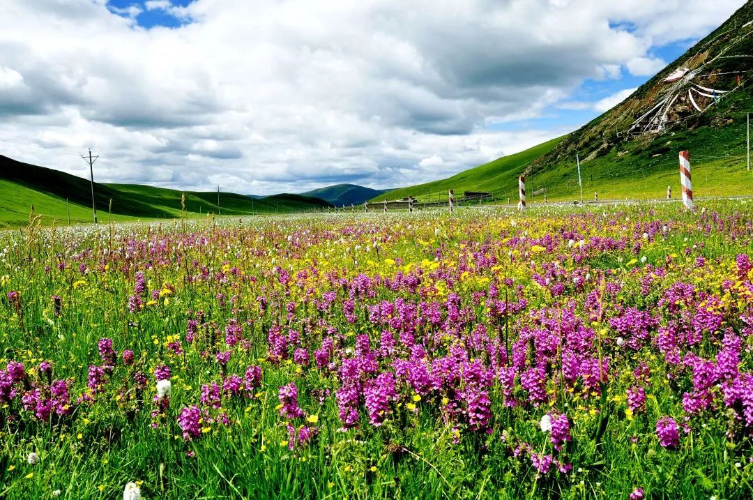 色达是什么样子,色达为什么越来越小了