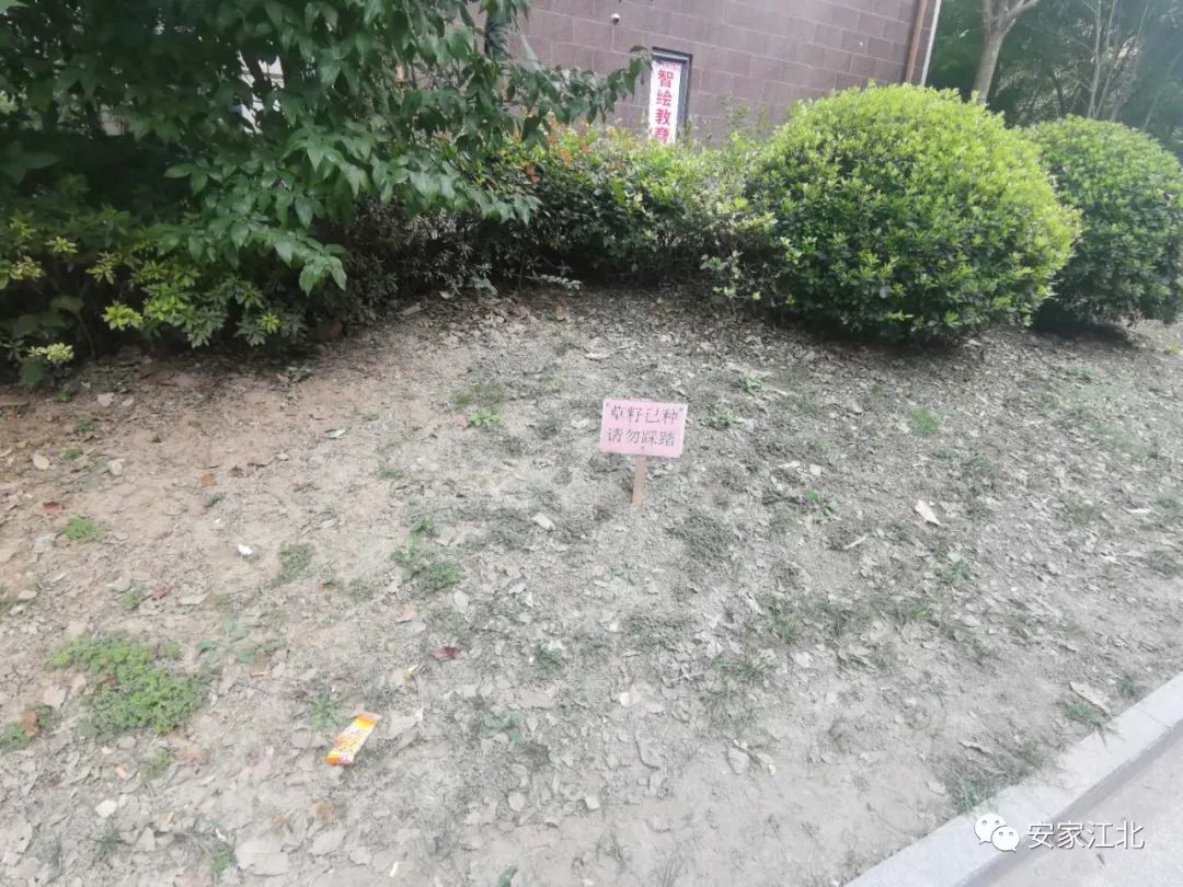 一墙之隔房价,一墙之隔价格相差几千一平怎么选