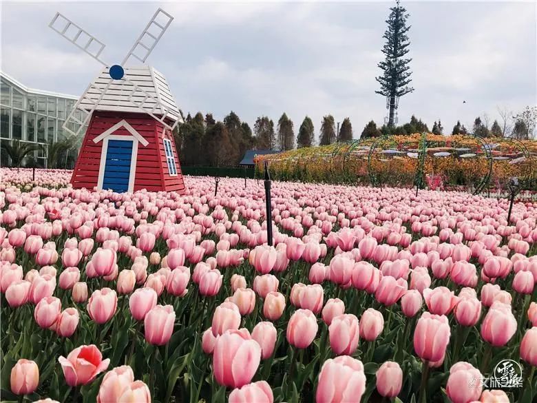 昆明假期出行攻略,假期去昆明玩的攻略