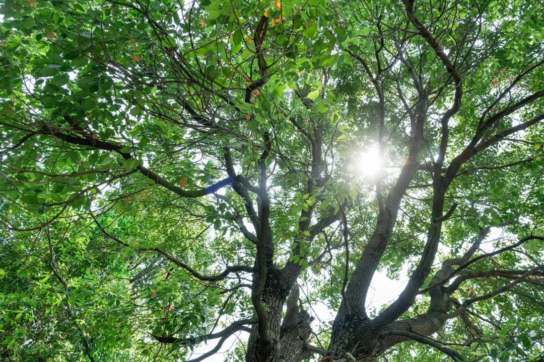 苏州人家的舒适生活,苏州百姓的幸福生活