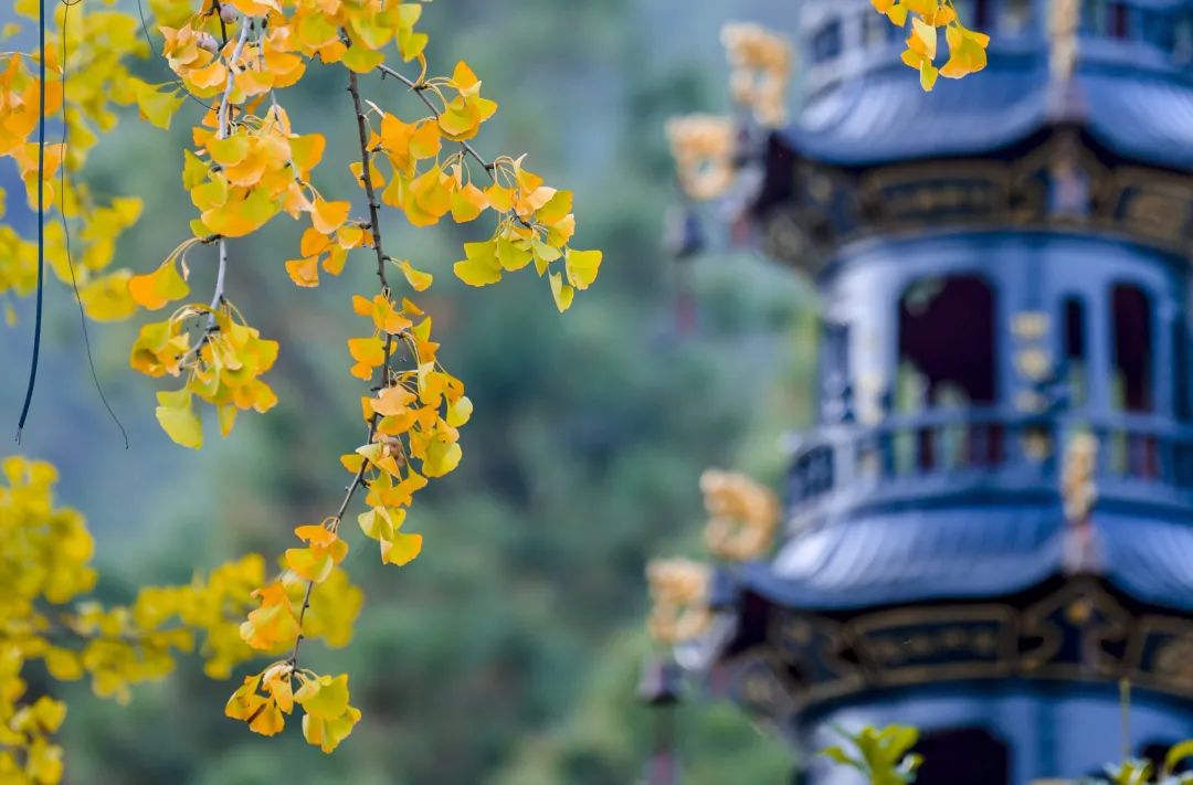 苏州人家的舒适生活,苏州百姓的幸福生活