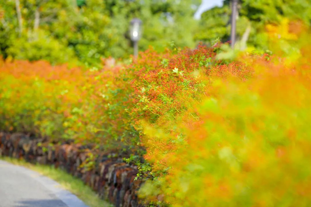 苏州人家的舒适生活,苏州百姓的幸福生活