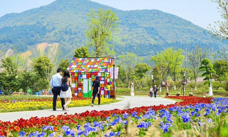 苏州人家的舒适生活,苏州百姓的幸福生活