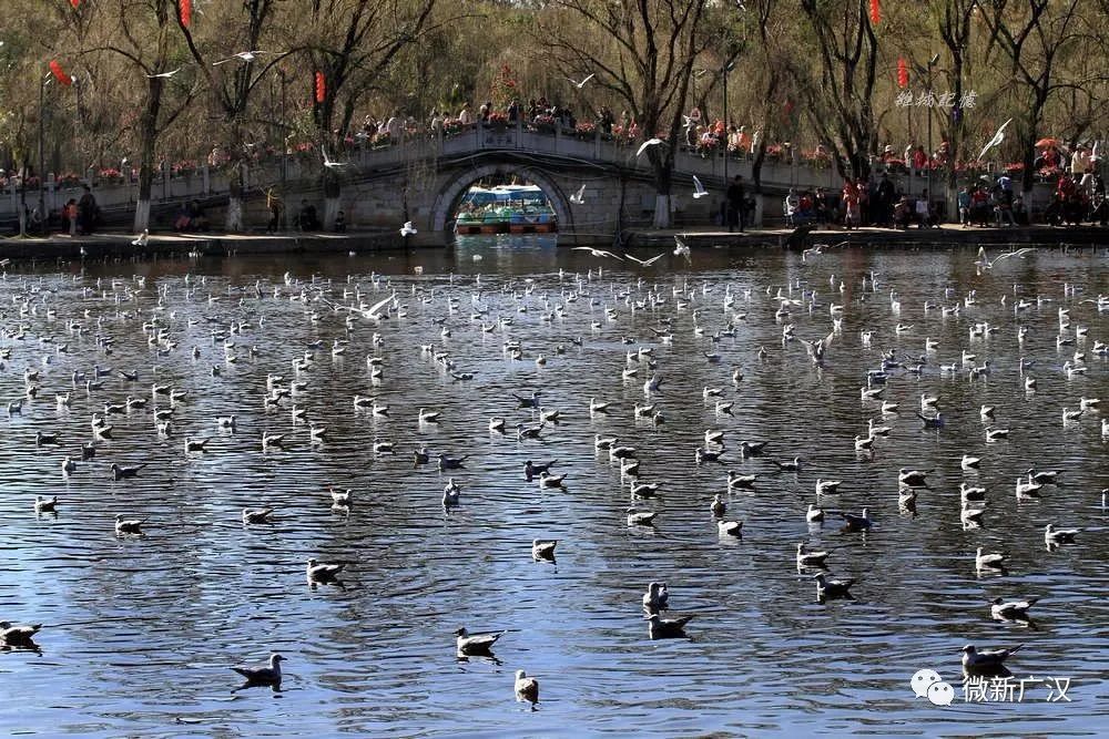 广汉哪里有好吃的地方,广汉有什么好吃的推荐