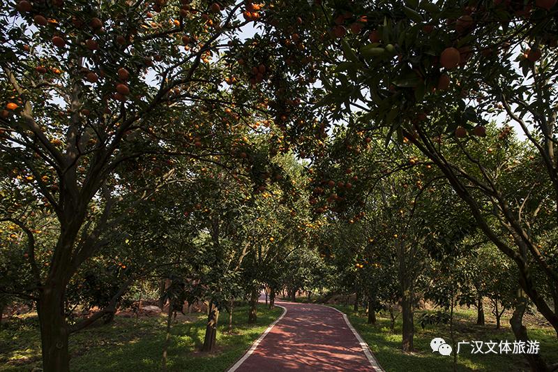 广汉哪里有好吃的地方,广汉有什么好吃的推荐