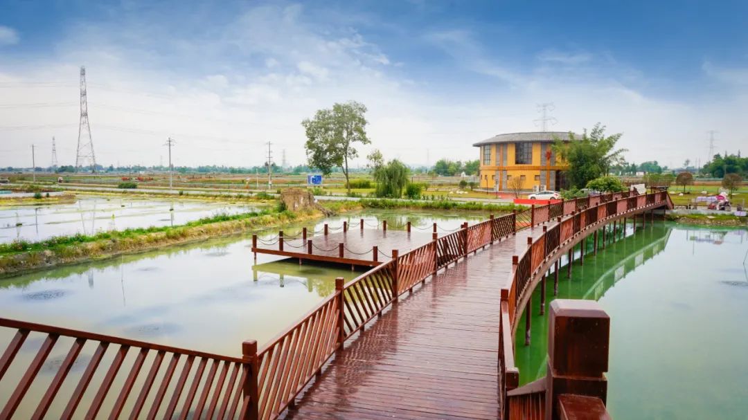 广汉哪里有好吃的地方,广汉有什么好吃的推荐