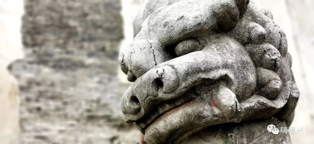 嘉兴子城遗址公园什么时候亮灯,嘉兴子城遗址公园什么时候开建