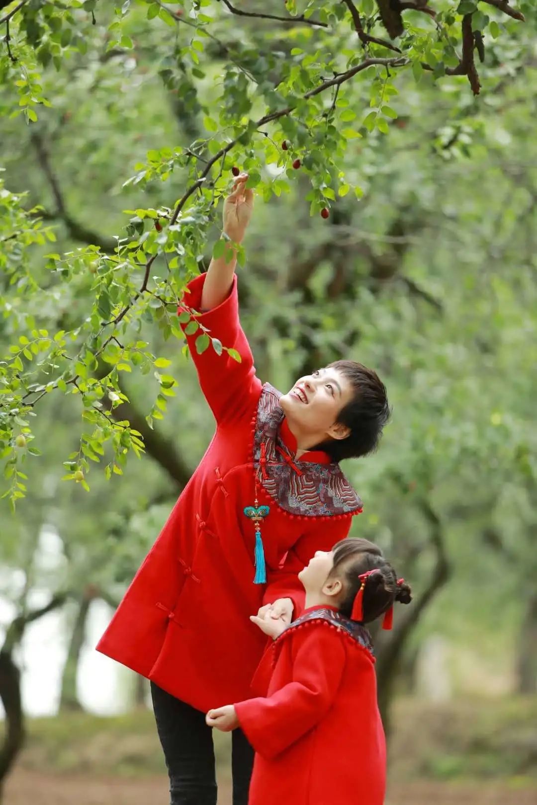 阎良千年枣林的照片,阎良千年枣林老照片