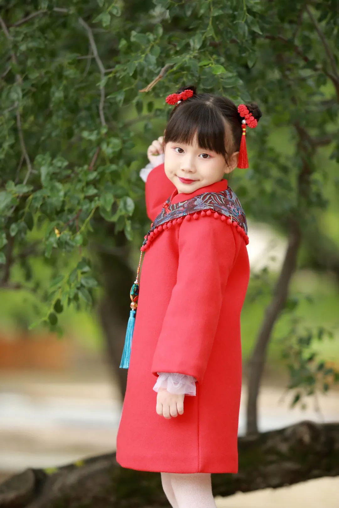 阎良千年枣林的照片,阎良千年枣林老照片