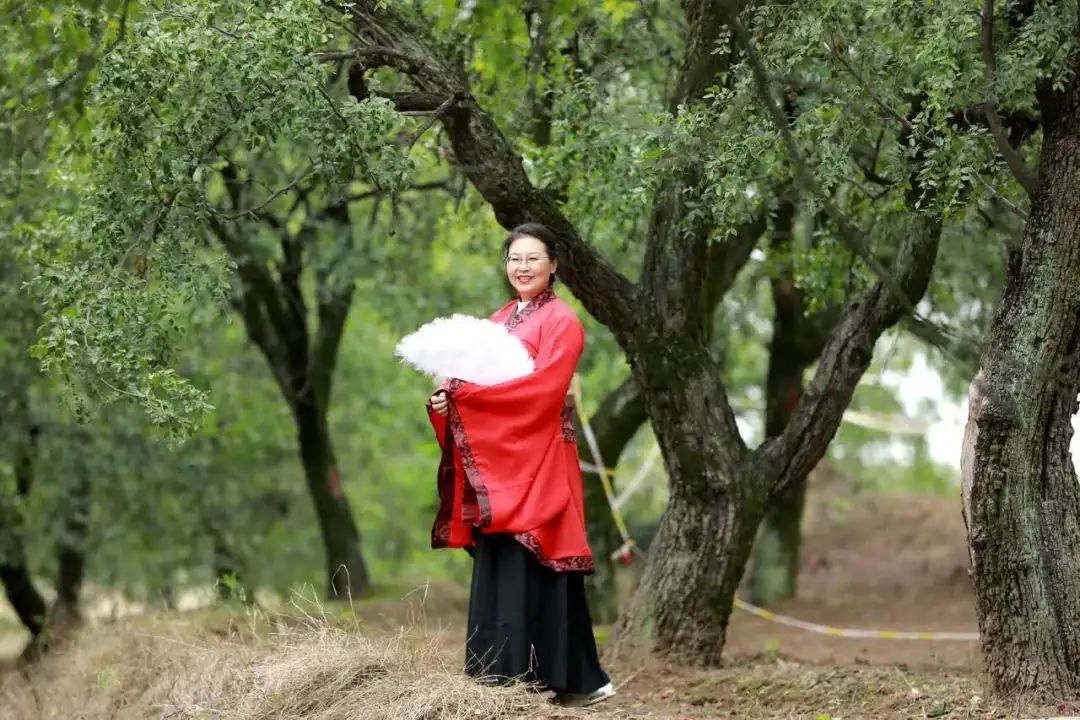 阎良千年枣林的照片,阎良千年枣林老照片