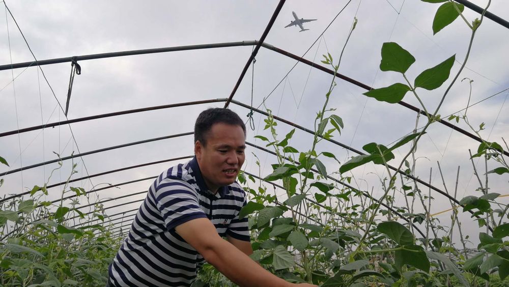 农业农村现代化新局面,新时代中国农业农村现代化