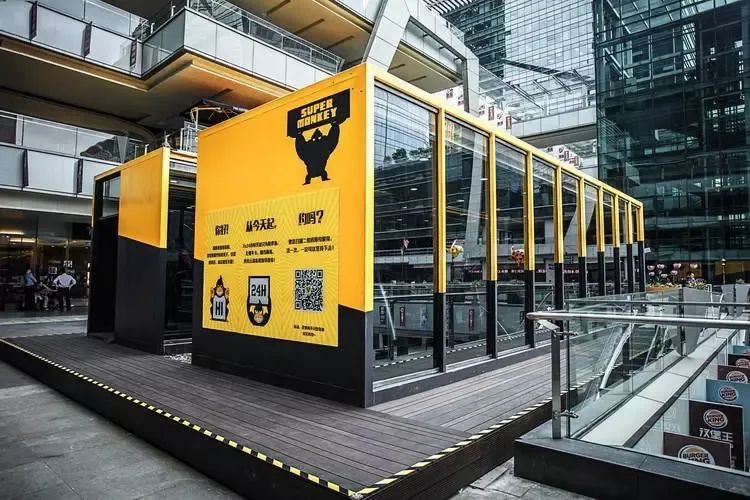 超级猩猩健身是否盈利,五年赌约董明珠胜出