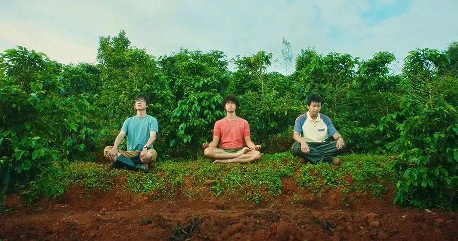 实打实的好看,为它走进影院不后悔