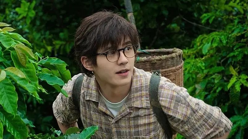 实打实的好看,为它走进影院不后悔