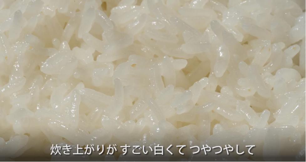 日本什么电饭煲做的饭好吃,日本电饭煲哪个煮饭模式最好吃