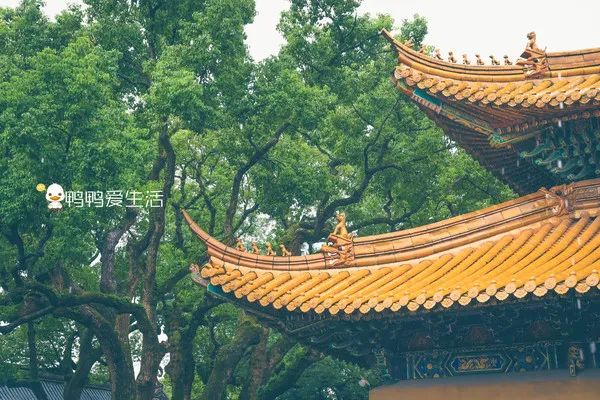 <html>
<head><title>502BadGateway</title></head>
<body>
<center><h1>502BadGateway</h1></center>
<hr><center>nginx</center>
</body>
</html>
<!--apaddingtodisableMSIEandChromefriendlyerrorpage-->
<!--apaddingtodisableMSIEandChromefriendlyerrorpage-->
<!--apaddingtodisableMSIEandChromefriendlyerrorpage-->
<!--apaddingtodisableMSIEandChromefriendlyerrorpage-->
<!--apaddingtodisableMSIEandChromefriendlyerrorpage-->
<!--apaddingtodisableMSIEandChromefriendlyerrorpage-->
