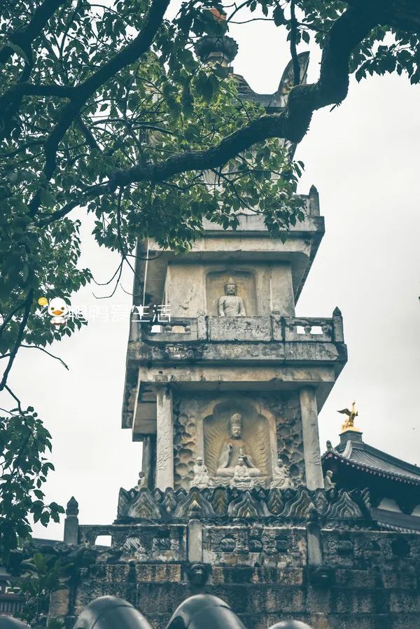 <html>
<head><title>502BadGateway</title></head>
<body>
<center><h1>502BadGateway</h1></center>
<hr><center>nginx</center>
</body>
</html>
<!--apaddingtodisableMSIEandChromefriendlyerrorpage-->
<!--apaddingtodisableMSIEandChromefriendlyerrorpage-->
<!--apaddingtodisableMSIEandChromefriendlyerrorpage-->
<!--apaddingtodisableMSIEandChromefriendlyerrorpage-->
<!--apaddingtodisableMSIEandChromefriendlyerrorpage-->
<!--apaddingtodisableMSIEandChromefriendlyerrorpage-->
