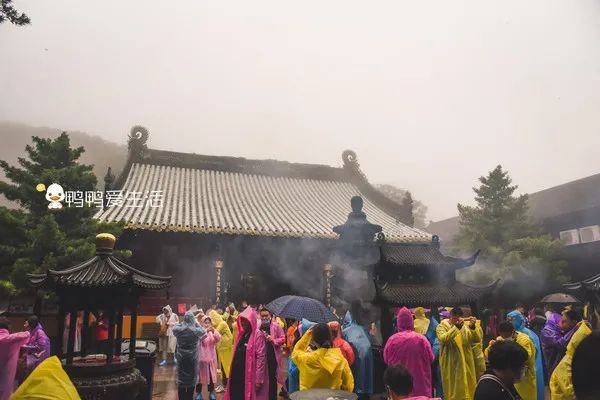 <html>
<head><title>502BadGateway</title></head>
<body>
<center><h1>502BadGateway</h1></center>
<hr><center>nginx</center>
</body>
</html>
<!--apaddingtodisableMSIEandChromefriendlyerrorpage-->
<!--apaddingtodisableMSIEandChromefriendlyerrorpage-->
<!--apaddingtodisableMSIEandChromefriendlyerrorpage-->
<!--apaddingtodisableMSIEandChromefriendlyerrorpage-->
<!--apaddingtodisableMSIEandChromefriendlyerrorpage-->
<!--apaddingtodisableMSIEandChromefriendlyerrorpage-->
