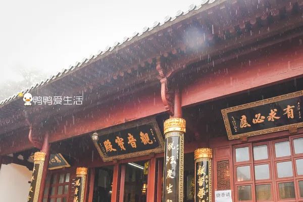 <html>
<head><title>502BadGateway</title></head>
<body>
<center><h1>502BadGateway</h1></center>
<hr><center>nginx</center>
</body>
</html>
<!--apaddingtodisableMSIEandChromefriendlyerrorpage-->
<!--apaddingtodisableMSIEandChromefriendlyerrorpage-->
<!--apaddingtodisableMSIEandChromefriendlyerrorpage-->
<!--apaddingtodisableMSIEandChromefriendlyerrorpage-->
<!--apaddingtodisableMSIEandChromefriendlyerrorpage-->
<!--apaddingtodisableMSIEandChromefriendlyerrorpage-->
