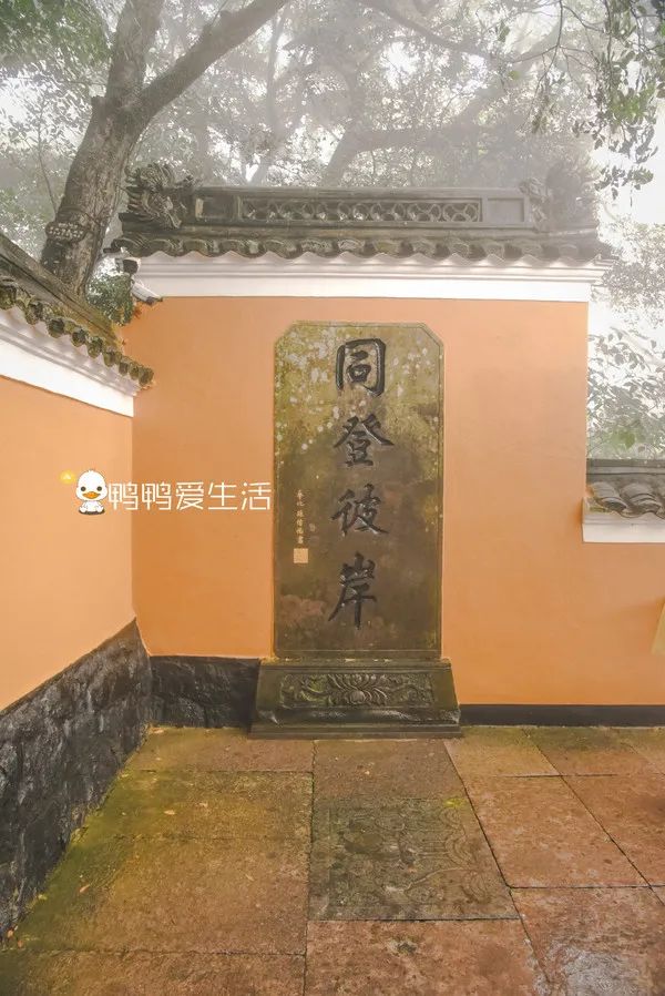 <html>
<head><title>502BadGateway</title></head>
<body>
<center><h1>502BadGateway</h1></center>
<hr><center>nginx</center>
</body>
</html>
<!--apaddingtodisableMSIEandChromefriendlyerrorpage-->
<!--apaddingtodisableMSIEandChromefriendlyerrorpage-->
<!--apaddingtodisableMSIEandChromefriendlyerrorpage-->
<!--apaddingtodisableMSIEandChromefriendlyerrorpage-->
<!--apaddingtodisableMSIEandChromefriendlyerrorpage-->
<!--apaddingtodisableMSIEandChromefriendlyerrorpage-->
