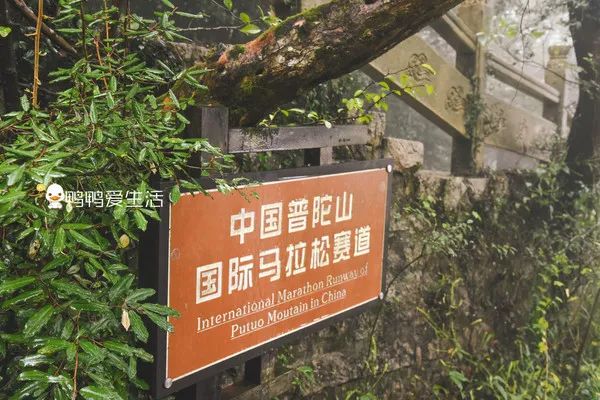 <html>
<head><title>502BadGateway</title></head>
<body>
<center><h1>502BadGateway</h1></center>
<hr><center>nginx</center>
</body>
</html>
<!--apaddingtodisableMSIEandChromefriendlyerrorpage-->
<!--apaddingtodisableMSIEandChromefriendlyerrorpage-->
<!--apaddingtodisableMSIEandChromefriendlyerrorpage-->
<!--apaddingtodisableMSIEandChromefriendlyerrorpage-->
<!--apaddingtodisableMSIEandChromefriendlyerrorpage-->
<!--apaddingtodisableMSIEandChromefriendlyerrorpage-->
