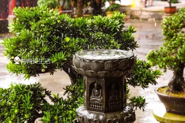 <html>
<head><title>502BadGateway</title></head>
<body>
<center><h1>502BadGateway</h1></center>
<hr><center>nginx</center>
</body>
</html>
<!--apaddingtodisableMSIEandChromefriendlyerrorpage-->
<!--apaddingtodisableMSIEandChromefriendlyerrorpage-->
<!--apaddingtodisableMSIEandChromefriendlyerrorpage-->
<!--apaddingtodisableMSIEandChromefriendlyerrorpage-->
<!--apaddingtodisableMSIEandChromefriendlyerrorpage-->
<!--apaddingtodisableMSIEandChromefriendlyerrorpage-->
