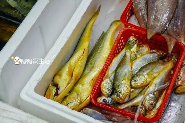 <html>
<head><title>502BadGateway</title></head>
<body>
<center><h1>502BadGateway</h1></center>
<hr><center>nginx</center>
</body>
</html>
<!--apaddingtodisableMSIEandChromefriendlyerrorpage-->
<!--apaddingtodisableMSIEandChromefriendlyerrorpage-->
<!--apaddingtodisableMSIEandChromefriendlyerrorpage-->
<!--apaddingtodisableMSIEandChromefriendlyerrorpage-->
<!--apaddingtodisableMSIEandChromefriendlyerrorpage-->
<!--apaddingtodisableMSIEandChromefriendlyerrorpage-->
