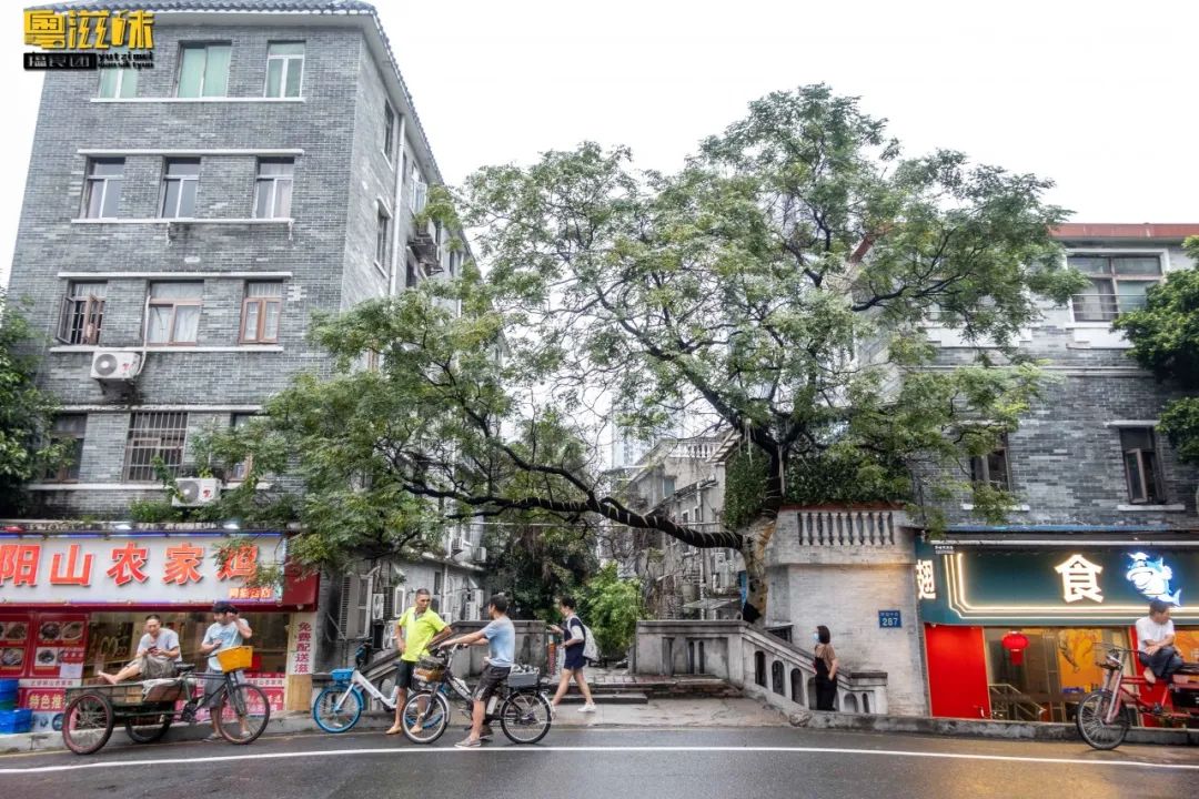 广州海珠区老广美食,这条老街原来藏了这么多宝藏