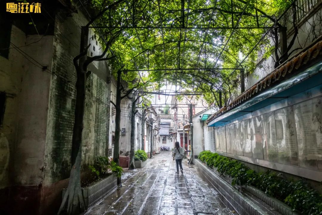 广州海珠区老广美食,这条老街原来藏了这么多宝藏