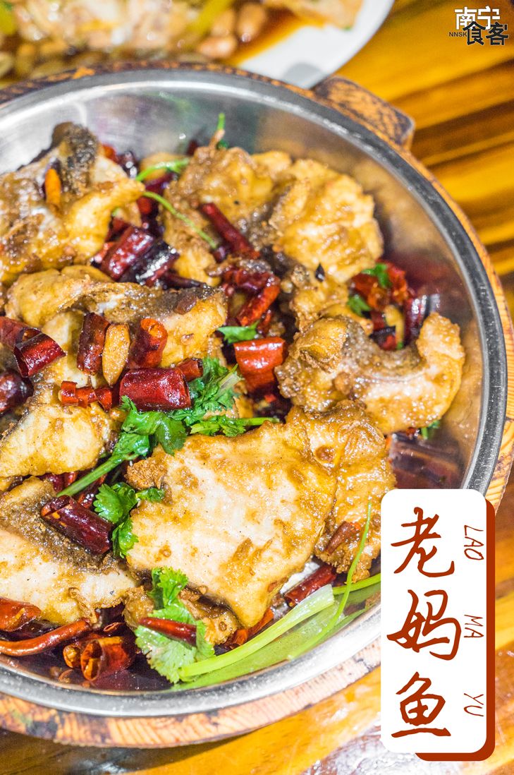 新竹路,我陪你变老,你陪我...变胖