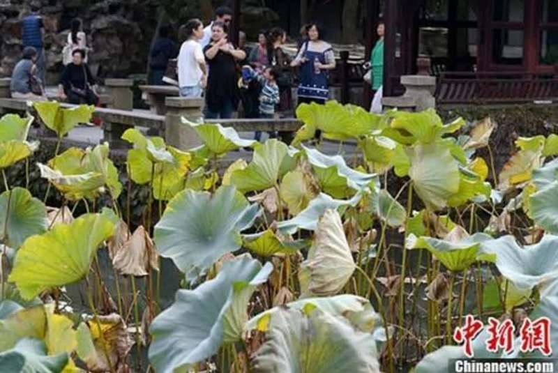 瀵掗湶鐧婚珮璧忕,鍚冭瀮锜圭櫥楂樿祻瀵掗湶