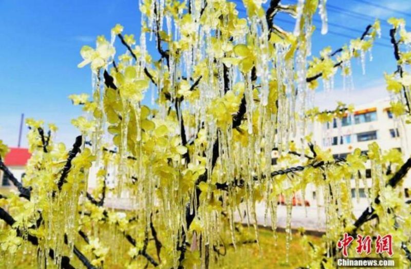 瀵掗湶鐧婚珮璧忕,鍚冭瀮锜圭櫥楂樿祻瀵掗湶