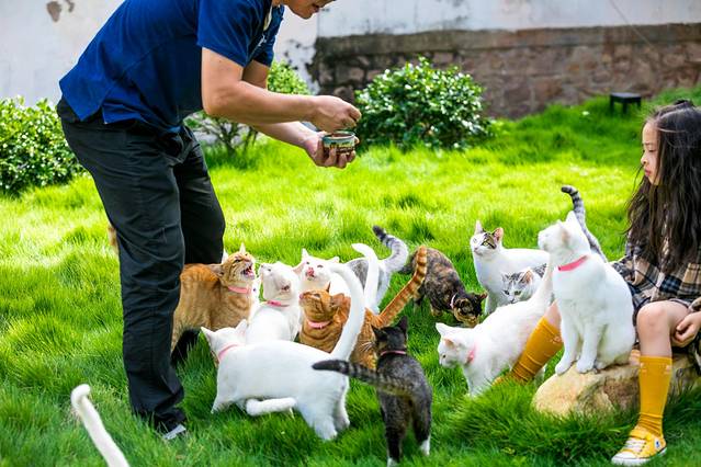 初遇嵊泗—不负嵊夏好时光，泗乎太安逸