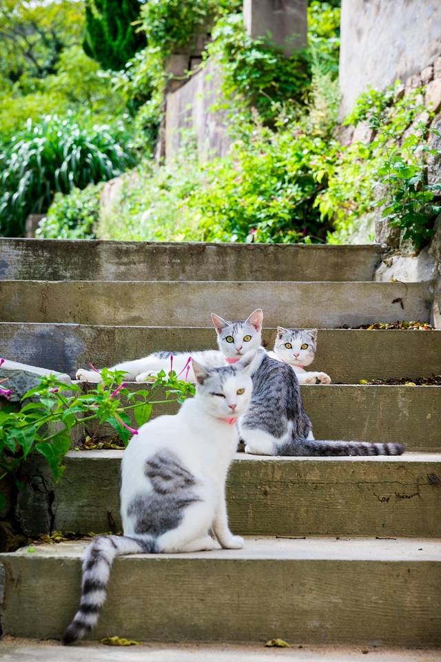 初遇嵊泗—不负嵊夏好时光，泗乎太安逸