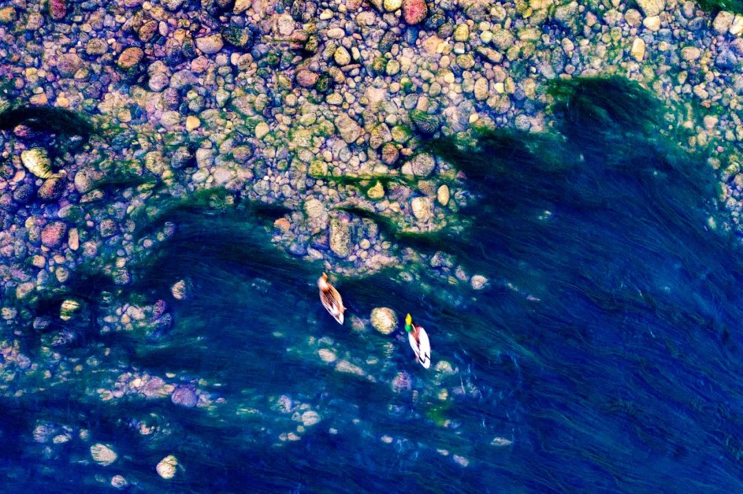 大美河南洛阳城市,美丽河南