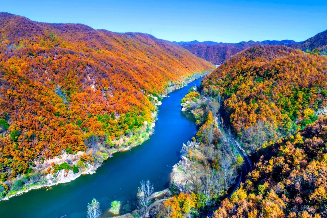 大美河南洛阳城市,美丽河南