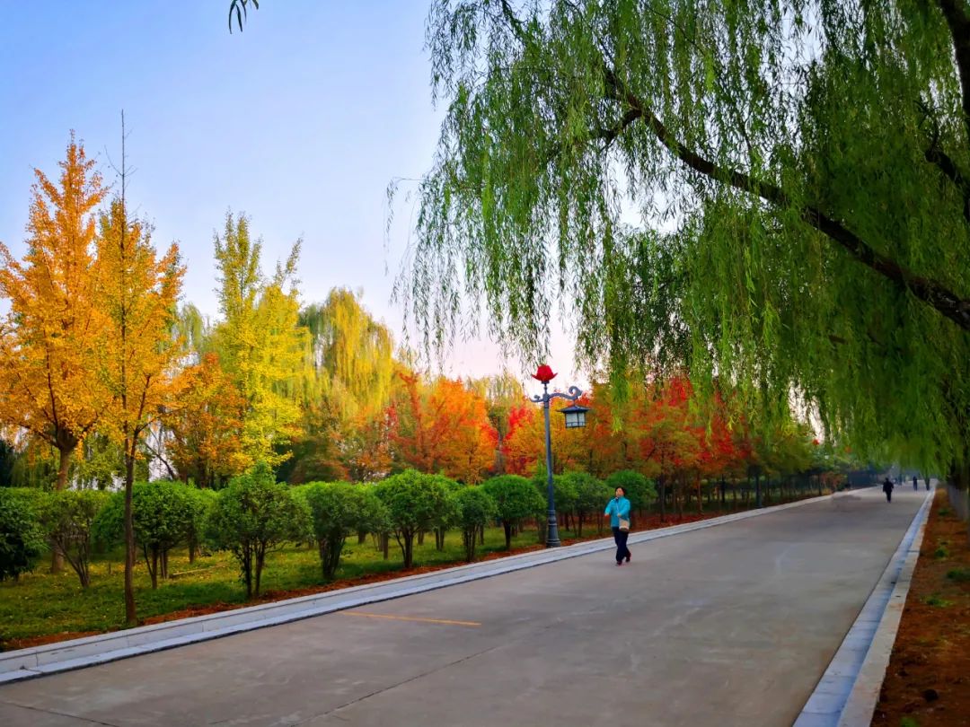 大美河南洛阳城市,美丽河南