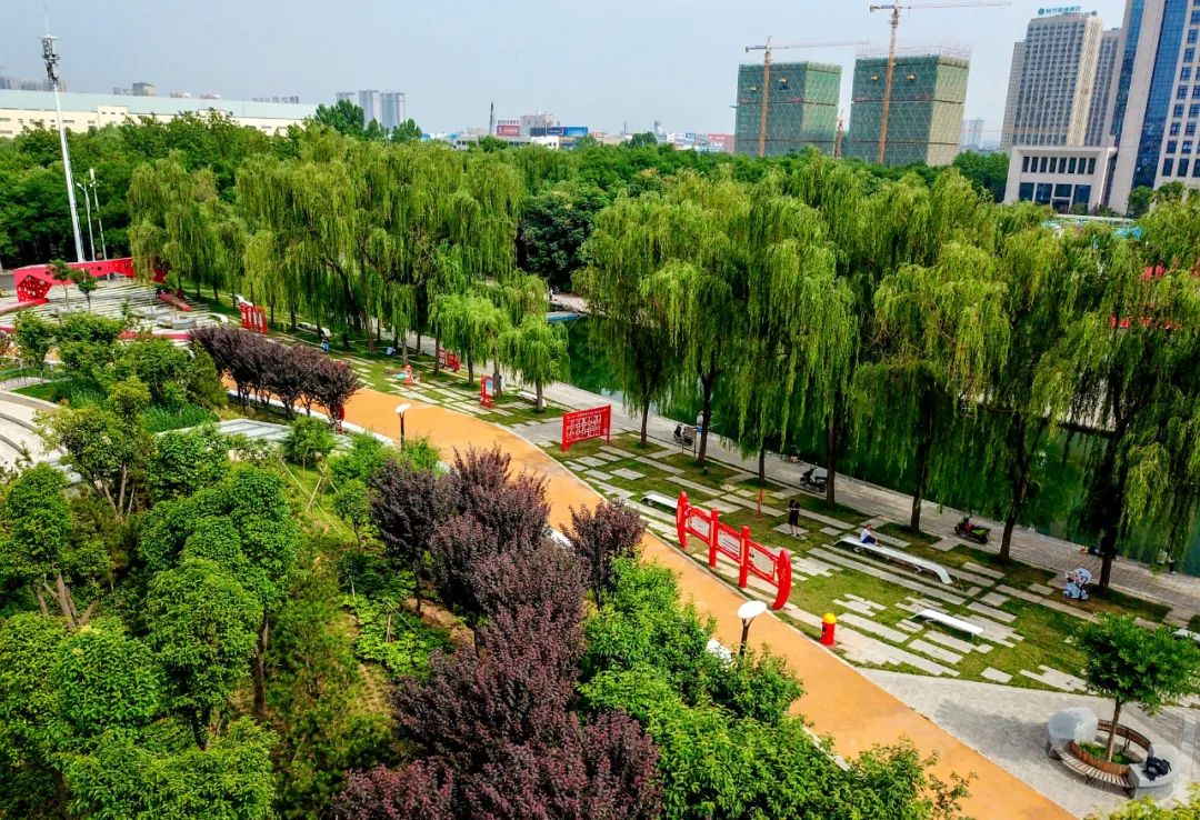 大美河南洛阳城市,美丽河南