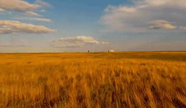 广州稻田网红打卡地,宜良稻田网红打卡点