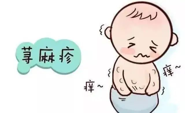 风团疹能喂奶吗,秋季风团疹