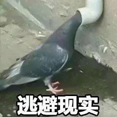 银行新套路,银行新套路是什么