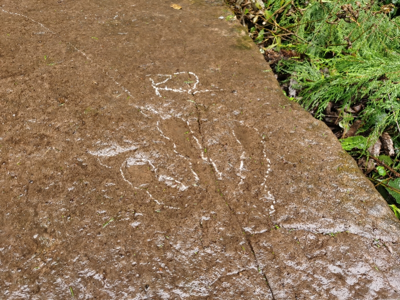 小学生发现11枚恐龙蛋化石,十岁男孩发现恐龙蛋化石