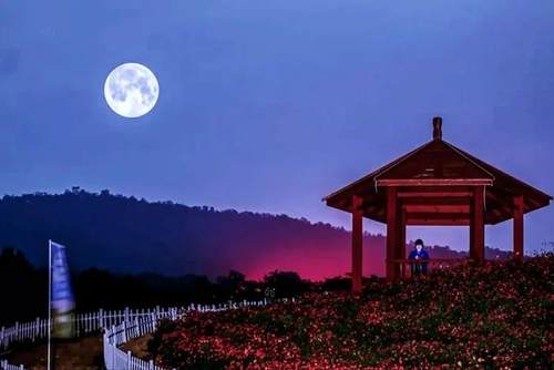 好文推荐作者文笔很好,好文荐读