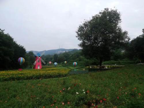 好文推荐作者文笔很好,好文荐读