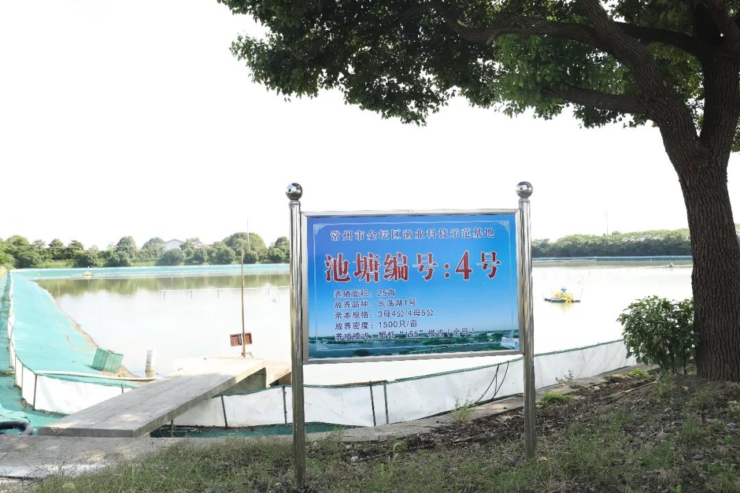 中华好蟹颁奖,中华好螃蟹